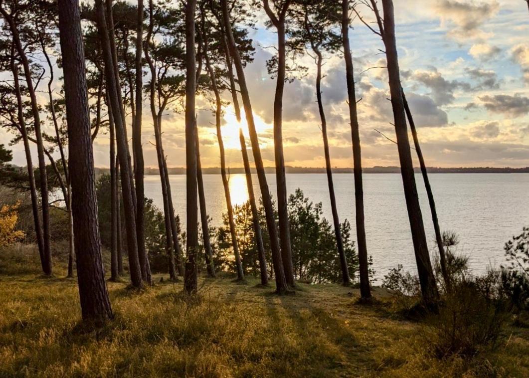 Tallskog - Dein Apartment Am Naturstrand Hohen Wieschendorf Hohenkirchen  외부 사진