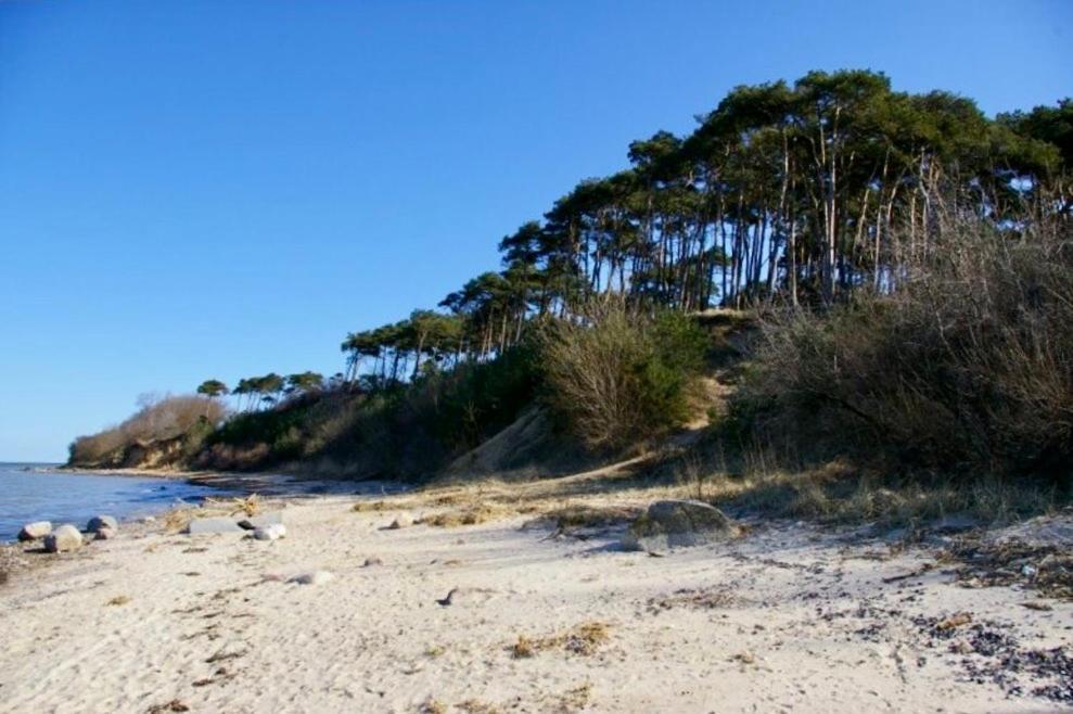 Tallskog - Dein Apartment Am Naturstrand Hohen Wieschendorf Hohenkirchen  외부 사진