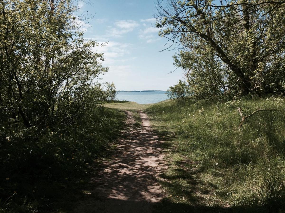 Tallskog - Dein Apartment Am Naturstrand Hohen Wieschendorf Hohenkirchen  외부 사진